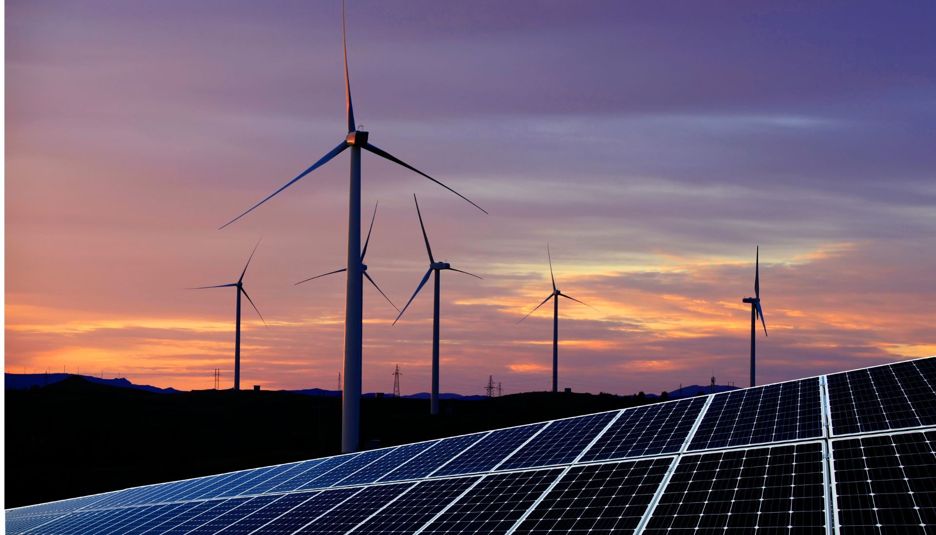 Skejlo Themenwelt BEE