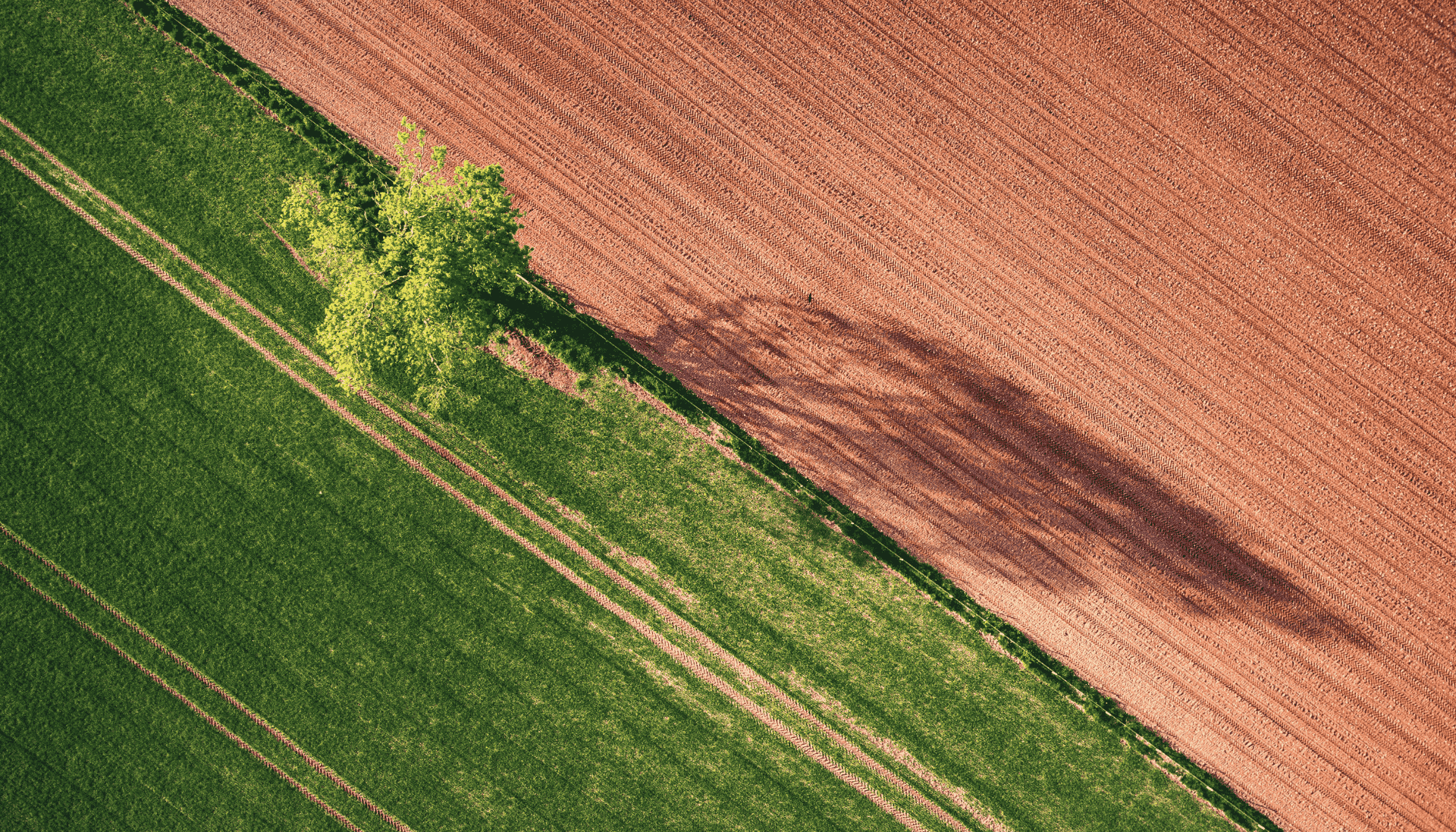 Skejlo Geobase Feature Ciss Themenwelt 22092025